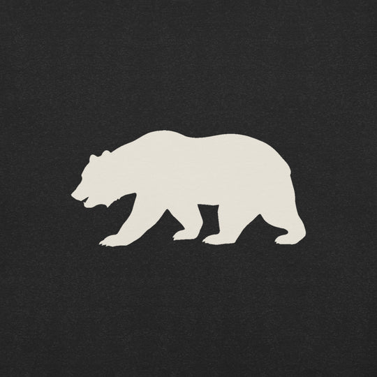 California Bear Graphic T-Shirt, Men's, print close-up
